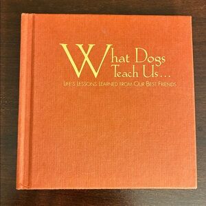What Dogs Teach Us: Life's Lessons Learned from Our Best Friend by Glenn Dromgoe